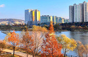 힐링도시 파주 관련 이미지